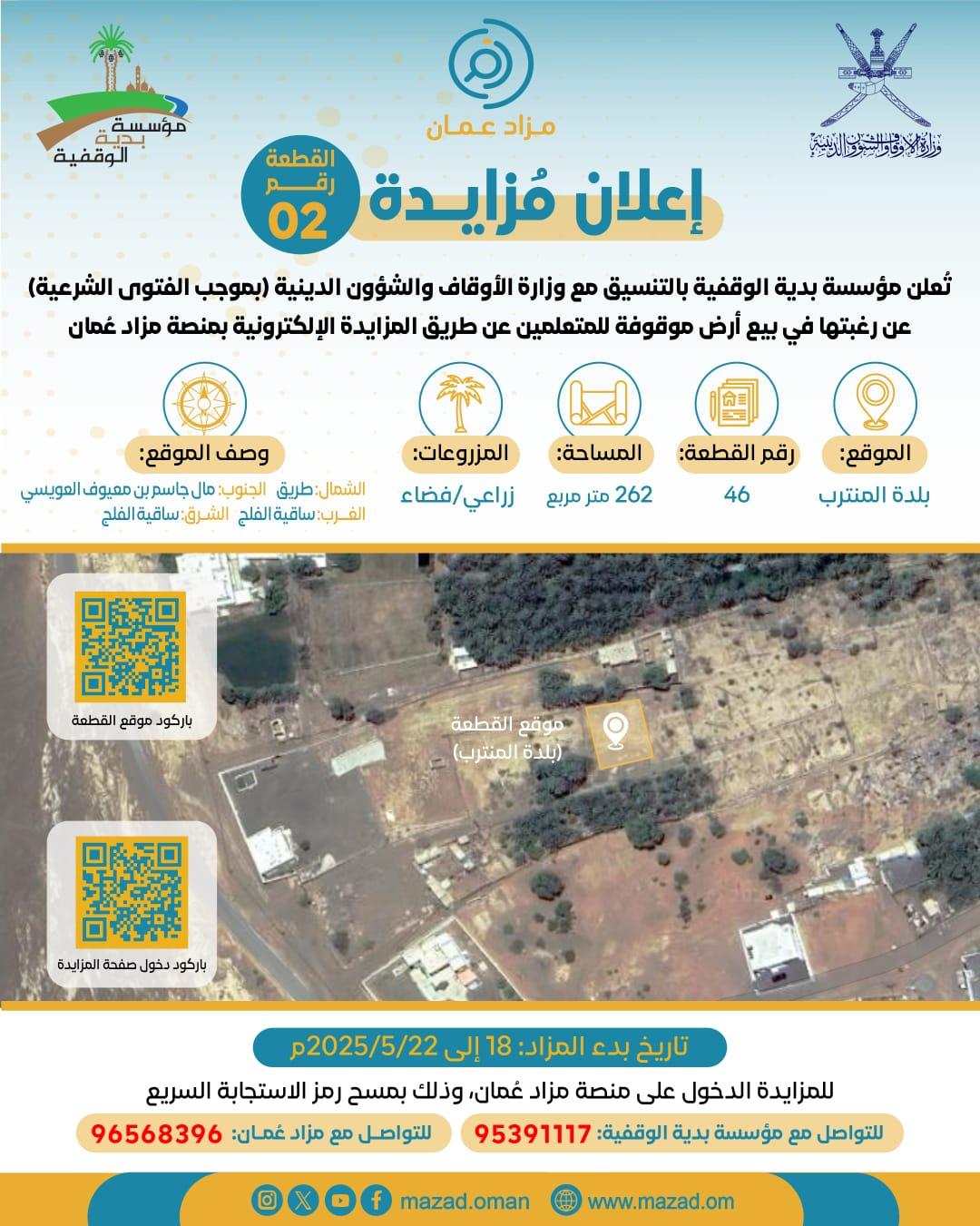 صورة 2