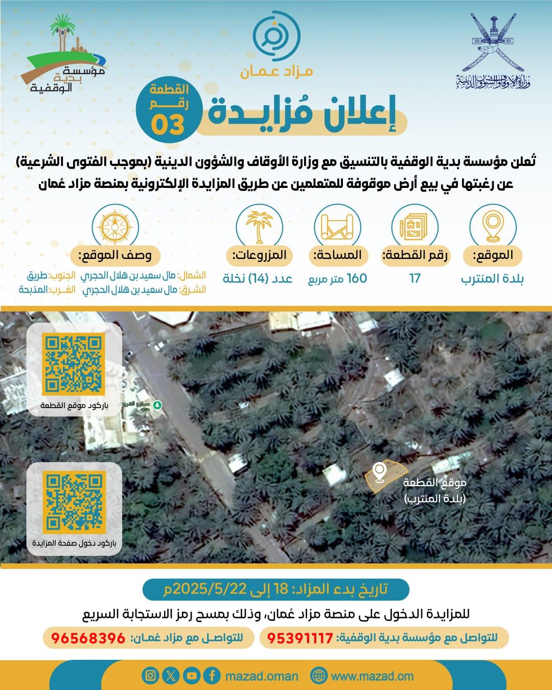 صورة 3